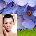 Японская лавка: ИЮНЬСКАЯ