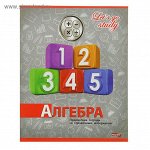 тетрадь предметная Серебро 36л кл Алгебра, обл. картон хромэрзац 36-1961   2093161