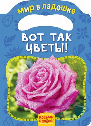 Вот так цветы! (МвЛ)