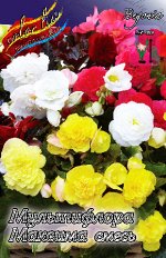 МУЛЬТИФЛОРА МАКСИМА СМЕСЬ