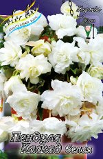 КАСКАД ПЕНДУЛА БЕЛАЯ