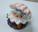 Ракушка с жемчужиной