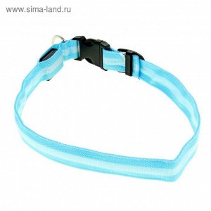 Ошейник с подсветкой, XL, 50-58 см, 3 режима свечения, голубой