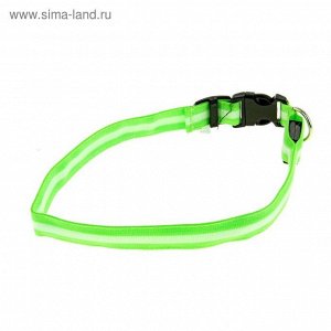 Ошейник с подсветкой, XL, 50-58 см, 3 режима свечения, зеленый