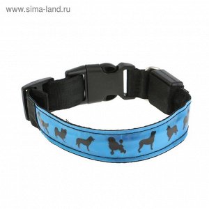 Ошейник с подсветкой, размер M 35-40 х 2,5 см, 3 режима свечения, синий