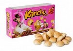 Печенье Канчо в шокол. глазури 42г 1/32