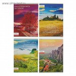 тетрадь 48л кл Природа и мотивация обл картон хромэрзац 48-2961   2462469