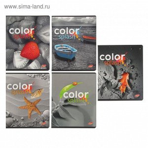 тетрадь 48л кл Color splash: цветные объекты на черно-белом, УФ-лак 7847/5   2228642