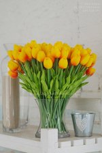 Тюльпан закрытый букет, 7 шт