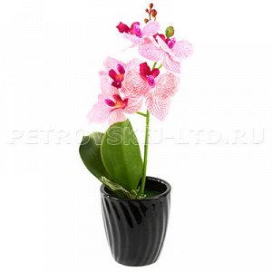 470-р 71568 - Цветочная композиция "Орхидея" розовый h35см, в керамическом горшочке д7см h7,5см (Китай). 