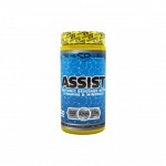 Изотоник Steel Power Assist - 450 гр