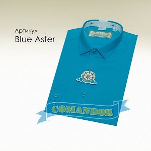 Blue Aster 