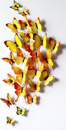 Бабочки цветные желтые