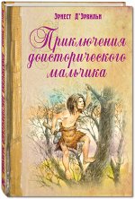 Д&#039;Эрвильи Э.