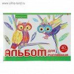 Альбом для рисования А4, 40 листов на скрепке &quot;Хобби тайм&quot;, обложка картон 235г/м2, блок офсет 100 г/м2, МИКС