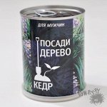Набор посади дерево «Кедр»