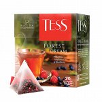 Чай Тесс пирамида Forest Dream 1,8г 1/20/12
