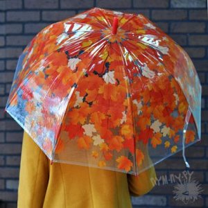 Прозрачный зонт "Золотая рапсодия"