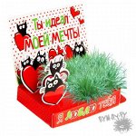 Живая открытка &quot;Я люблю тебя&quot;