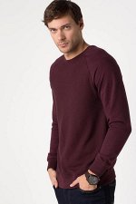 Sweat Shirt
