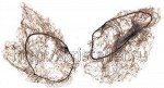 Сеточка-паутинка для создания причёсок Dewal