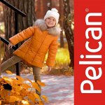 Pelican-69/1 Улётная осень 2017+ школа! SALE от 15%