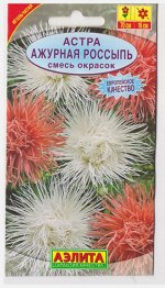 Астра Ажурная россыпь (Код: 5494)