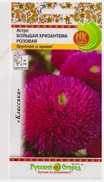 Астра Большая Хризантема розовая (Код: 80162)