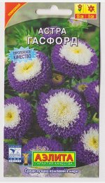 Астра Гасфорд помпонная (Код: 6859)