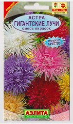Астра Гигантские лучи смесь (Код: 14475)