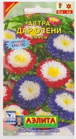 Астра Дар осени смесь (Код: 4909)