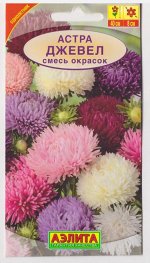 Астра Джевел смесь окрасок (Код: 15245)