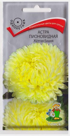Астра Желтая Башня (Код: 70715)