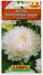 Астра Королева сада белая (Код: 79832)