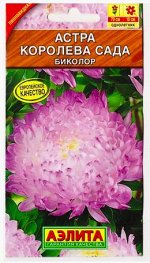 Астра Королева сада биколор (Код: 79833)