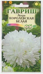 Астра Королевская Белая (Код: 71800)