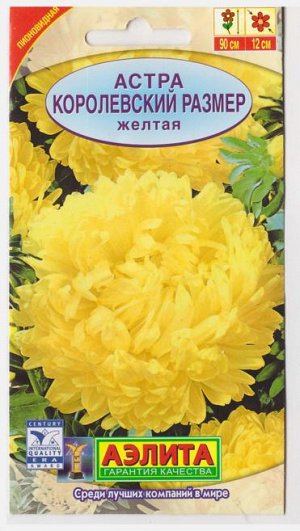 Астра Королевский размер Желтая (Код: 66664)
