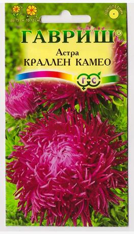 Астра Краллен Камео темн-розовая (Код: 9313)
