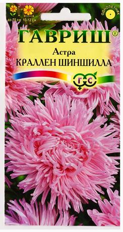Астра Краллен Шиншилла (Код: 79955)