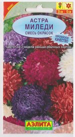 Астра Миледи Смесь окрасок (Код: 107)