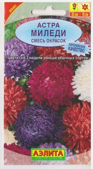 Астра Миледи Смесь окрасок (Код: 107)