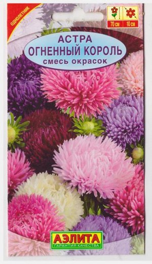 Астра Огненный король Смесь окрасок (Код: 8766)