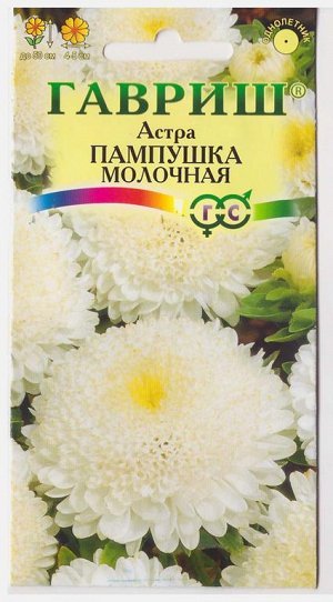 Астра Пампушка молочная (Код: 73051)