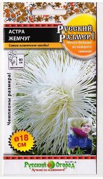 Астра Русский размер Жемчуг (Код: 6166)