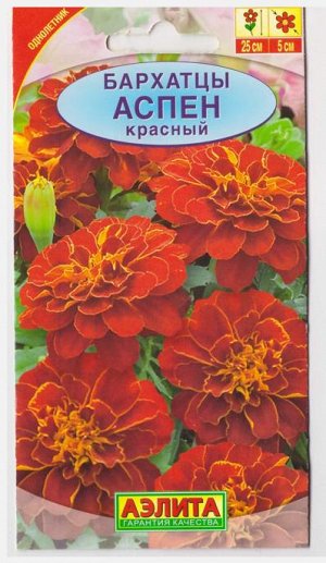 Бархатцы Аспен красный (Код: 9740)