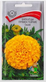 Бархатцы Гавайи (Код: 65916)