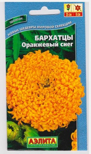 Бархатцы Оранжевый Снег (Код: 7667)