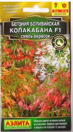 Бегония Копакабана F1 боливийская смесь (Код: 79358)