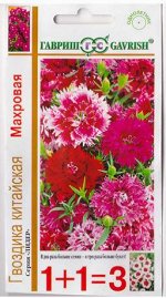 Гвоздика Китайская Махровая смесь (Код: 9350)
