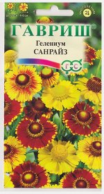 Гелениум Осенний Санрайз смесь (Код: 67244)